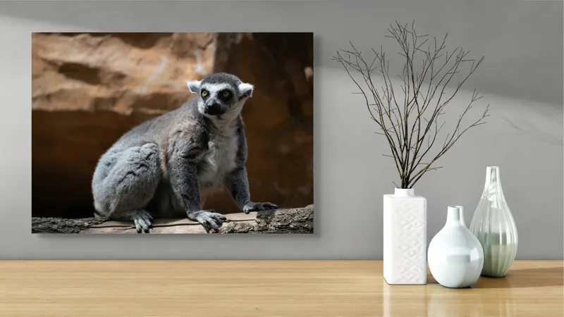 Tablou Canvas, "Lemurul curios în lumina soarelui", 70 x 50 cm – poza 3