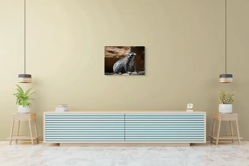 Tablou Canvas, "Lemurul curios în lumina soarelui", 70 x 50 cm – poza 7