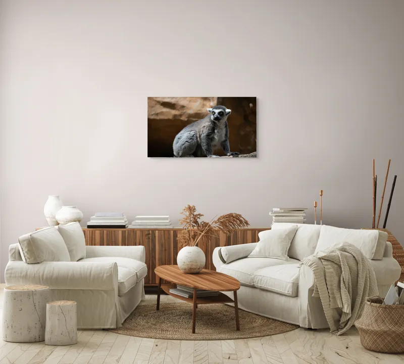 Tablou Canvas, "Lemurul curios în lumina soarelui", 90 x 50 cm – poza 4