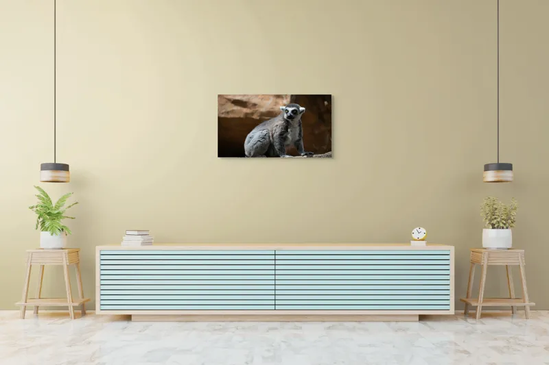 Tablou Canvas, "Lemurul curios în lumina soarelui", 90 x 50 cm – poza 5