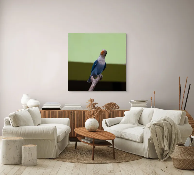 Tablou Canvas, "Papagal albastru pe creangă uscată", Pasăre, Ramură, Albastru, Portocaliu, Perete, Verde, Privește, 100 x 100 cm – poza 3