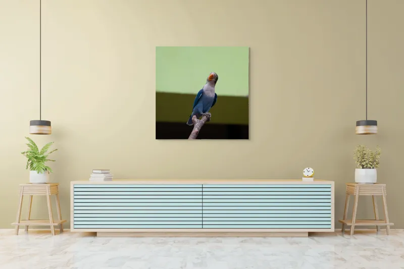 Tablou Canvas, "Papagal albastru pe creangă uscată", Pasăre, Ramură, Albastru, Portocaliu, Perete, Verde, Privește, 100 x 100 cm – poza 5
