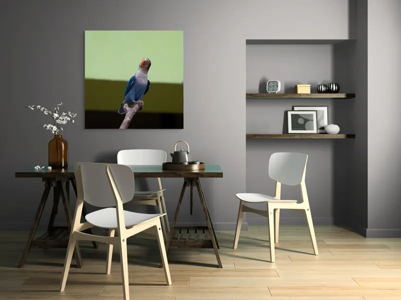 Tablou Canvas, "Papagal albastru pe creangă uscată", Pasăre, Ramură, Albastru, Portocaliu, Perete, Verde, Privește, 100 x 100 cm – poza 6