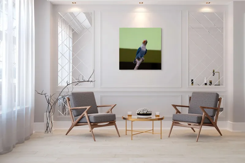 Tablou Canvas, "Papagal albastru pe creangă uscată", Pasăre, Ramură, Albastru, Portocaliu, Perete, Verde, Privește, 100 x 100 cm – poza 7
