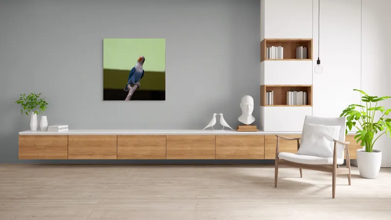 Tablou Canvas, "Papagal albastru pe creangă uscată", Pasăre, Ramură, Albastru, Portocaliu, Perete, Verde, Privește, 100 x 100 cm – poza 8