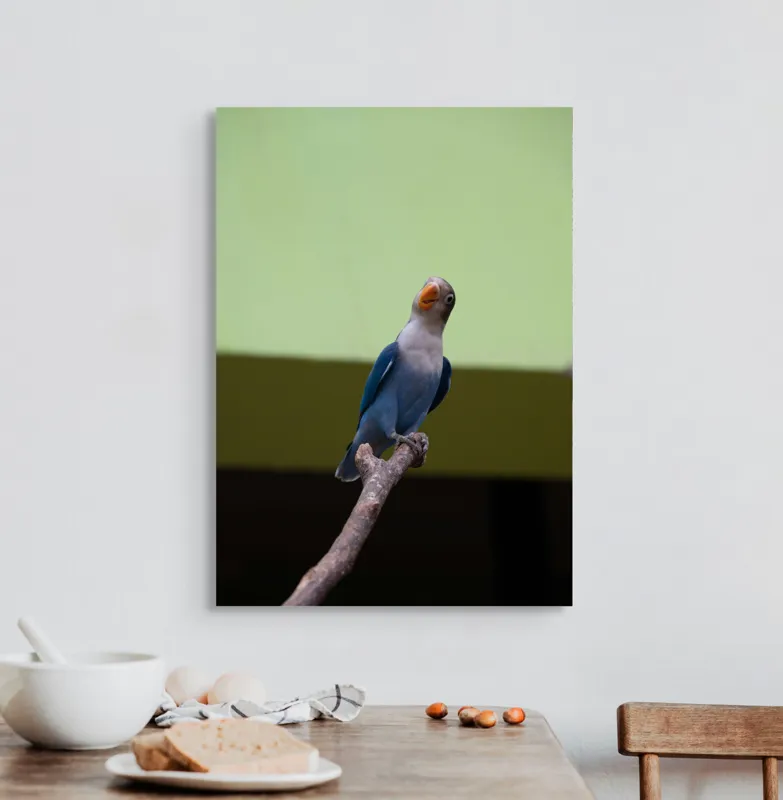 Tablou Canvas, "Papagal albastru pe creangă uscată", Pasăre, Ramură, Albastru, Portocaliu, Perete, Verde, Privește, 50 x 70 cm – poza 3