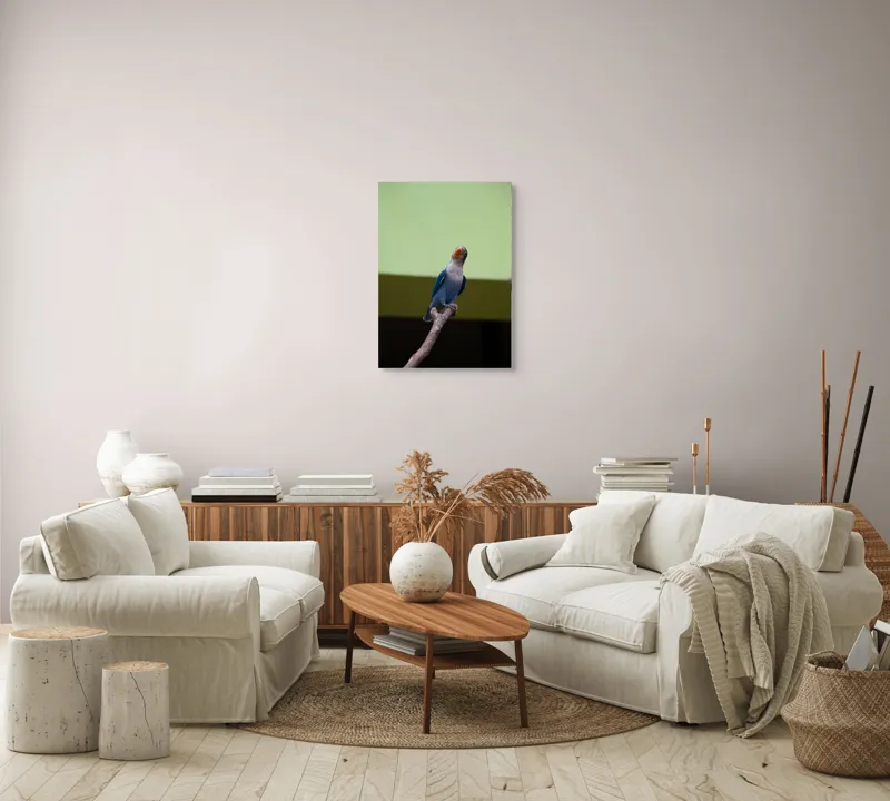 Tablou Canvas, "Papagal albastru pe creangă uscată", Pasăre, Ramură, Albastru, Portocaliu, Perete, Verde, Privește, 50 x 70 cm – poza 4
