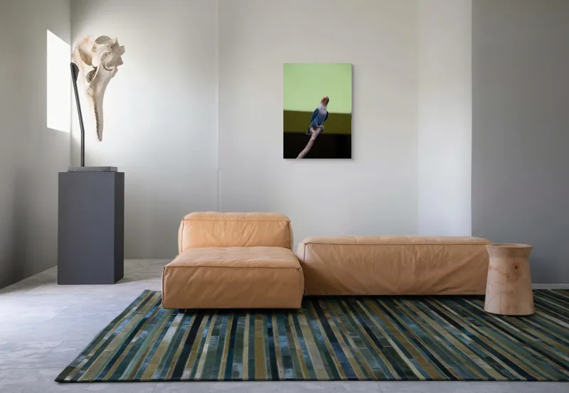 Tablou Canvas, "Papagal albastru pe creangă uscată", Pasăre, Ramură, Albastru, Portocaliu, Perete, Verde, Privește, 50 x 70 cm – poza 7