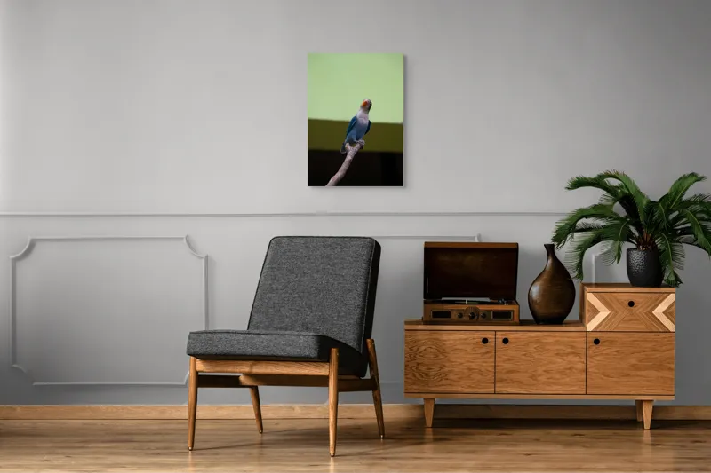 Tablou Canvas, "Papagal albastru pe creangă uscată", Pasăre, Ramură, Albastru, Portocaliu, Perete, Verde, Privește, 50 x 70 cm – poza 8