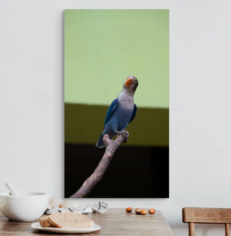 Tablou Canvas, "Papagal albastru pe creangă uscată", Pasăre, Ramură, Albastru, Portocaliu, Perete, Verde, Privește, 50 x 90 cm – poza 3