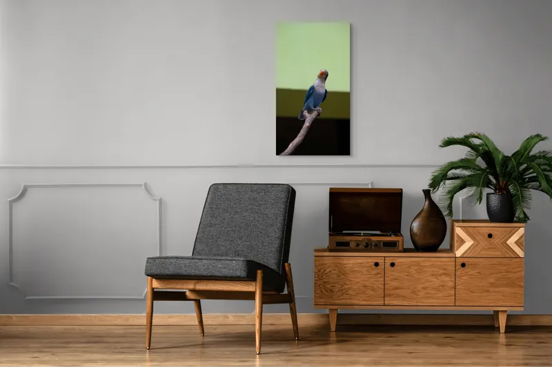 Tablou Canvas, "Papagal albastru pe creangă uscată", Pasăre, Ramură, Albastru, Portocaliu, Perete, Verde, Privește, 50 x 90 cm – poza 8