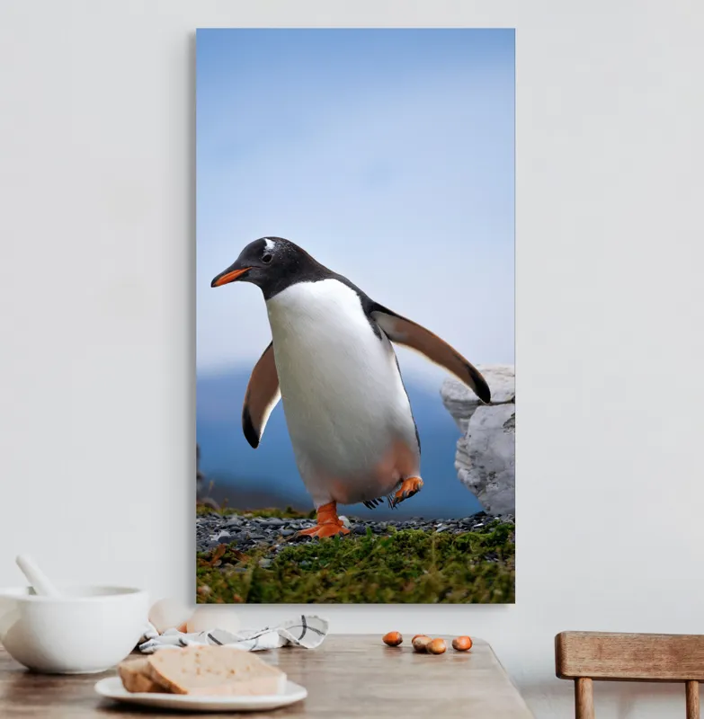 Tablou Canvas, "Pinguin în căutarea aventurii polare", Pinguin, Drum, Iarbă, Cer, Stâncă, Aripi, Ușor, Echilibru, Frig, Antarctic., 50 x 90 cm – poza 3