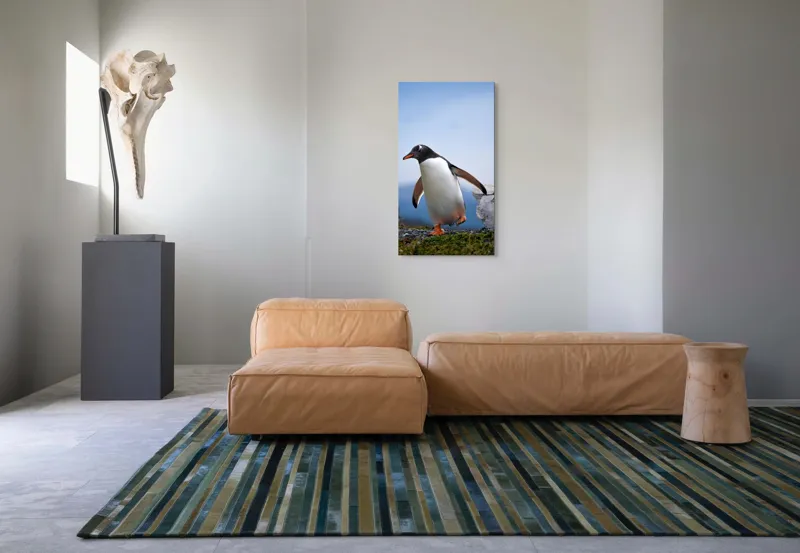 Tablou Canvas, "Pinguin în căutarea aventurii polare", Pinguin, Drum, Iarbă, Cer, Stâncă, Aripi, Ușor, Echilibru, Frig, Antarctic., 50 x 90 cm – poza 5