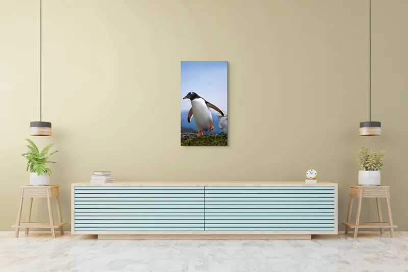 Tablou Canvas, "Pinguin în căutarea aventurii polare", Pinguin, Drum, Iarbă, Cer, Stâncă, Aripi, Ușor, Echilibru, Frig, Antarctic., 50 x 90 cm – poza 6