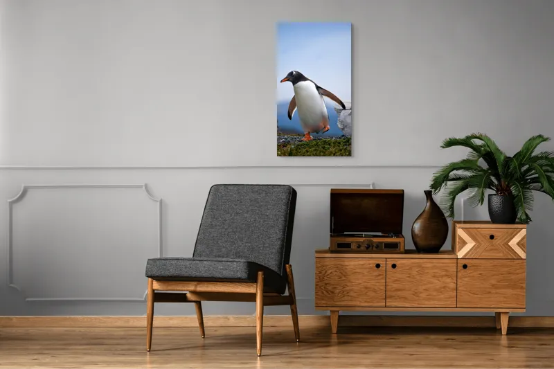 Tablou Canvas, "Pinguin în căutarea aventurii polare", Pinguin, Drum, Iarbă, Cer, Stâncă, Aripi, Ușor, Echilibru, Frig, Antarctic., 50 x 90 cm – poza 8