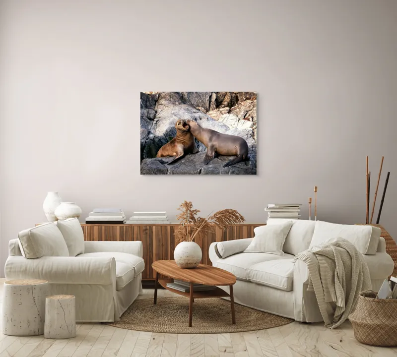 Tablou Canvas, "Leii de mare pe stânci grizate", Roci, Lei, Mare, Relaxare, Natură, Joc, Coastă, Interacțiune, Liniște, Animal., 100 x 70 cm – poza 3