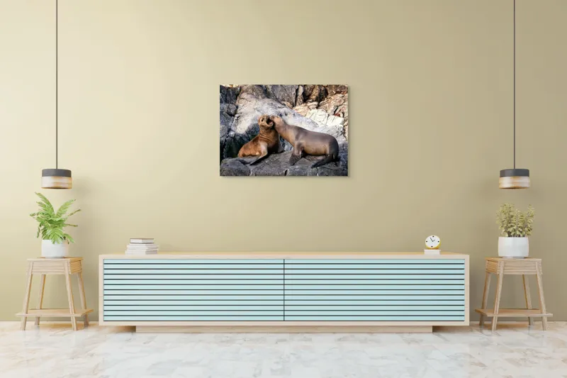 Tablou Canvas, "Leii de mare pe stânci grizate", Roci, Lei, Mare, Relaxare, Natură, Joc, Coastă, Interacțiune, Liniște, Animal., 100 x 70 cm – poza 4