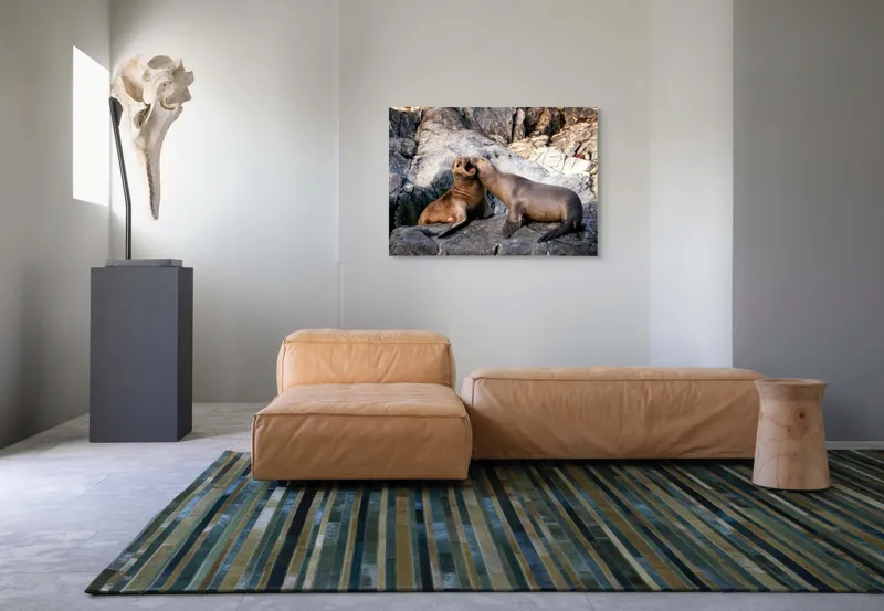Tablou Canvas, "Leii de mare pe stânci grizate", Roci, Lei, Mare, Relaxare, Natură, Joc, Coastă, Interacțiune, Liniște, Animal., 100 x 70 cm – poza 7