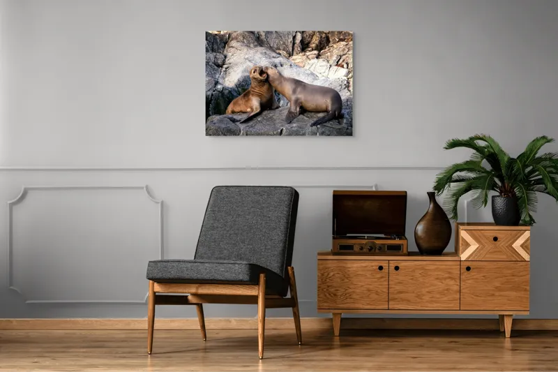 Tablou Canvas, "Leii de mare pe stânci grizate", Roci, Lei, Mare, Relaxare, Natură, Joc, Coastă, Interacțiune, Liniște, Animal., 100 x 70 cm – poza 8