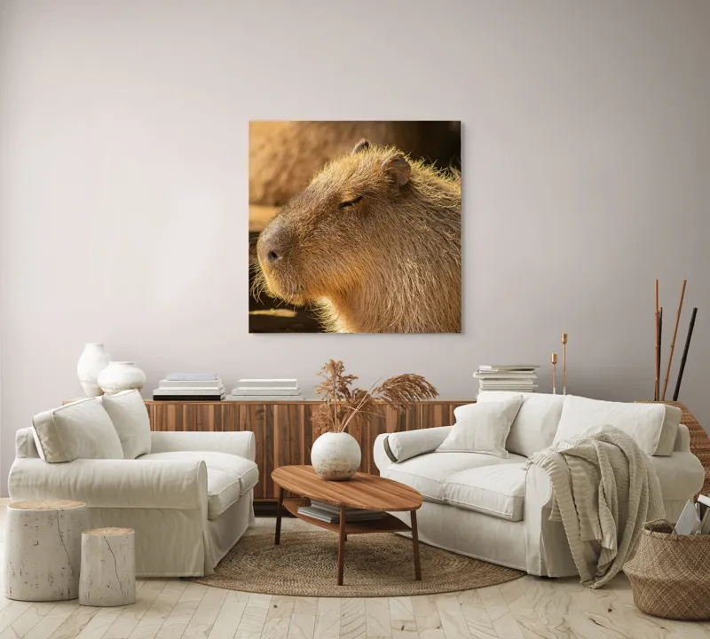 Tablou Canvas, "Capybara relaxându-se în soare", 100 x 100 cm – poza 3