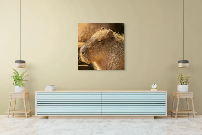 Tablou Canvas, "Capybara relaxându-se în soare", 100 x 100 cm – poza 5