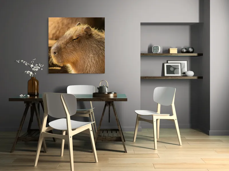 Tablou Canvas, "Capybara relaxându-se în soare", 100 x 100 cm – poza 6