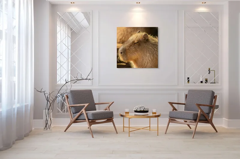 Tablou Canvas, "Capybara relaxându-se în soare", 100 x 100 cm – poza 7