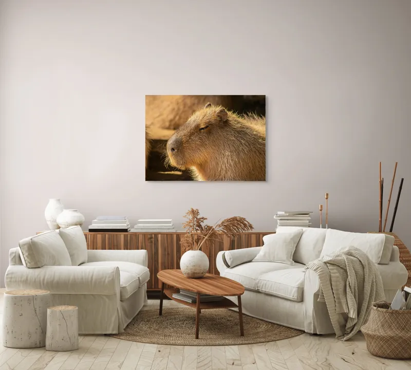Tablou Canvas, "Capybara relaxându-se în soare", 100 x 70 cm – poza 3