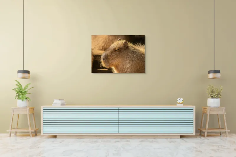 Tablou Canvas, "Capybara relaxându-se în soare", 100 x 70 cm – poza 4
