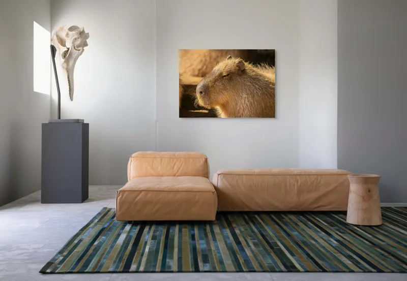 Tablou Canvas, "Capybara relaxându-se în soare", 100 x 70 cm – poza 7