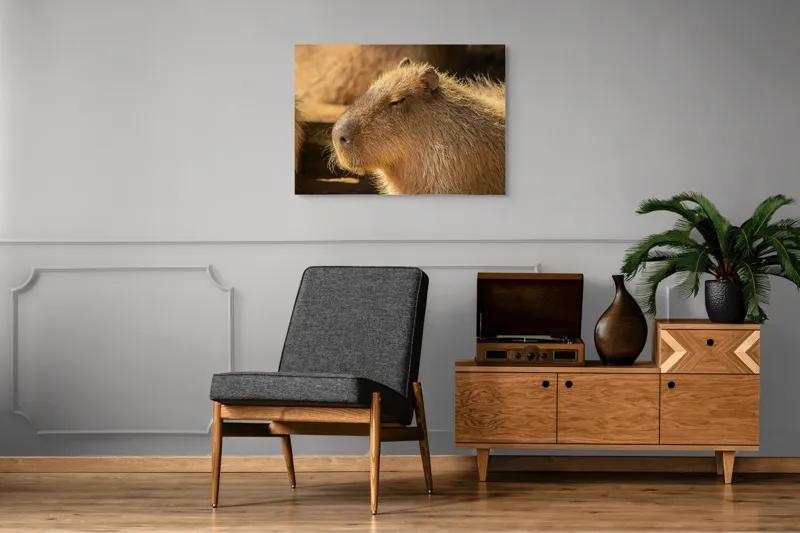 Tablou Canvas, "Capybara relaxându-se în soare", 100 x 70 cm – poza 8