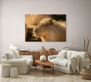 Tablou Canvas, "Capybara relaxându-se în soare", 150 x 100 cm – poza 3
