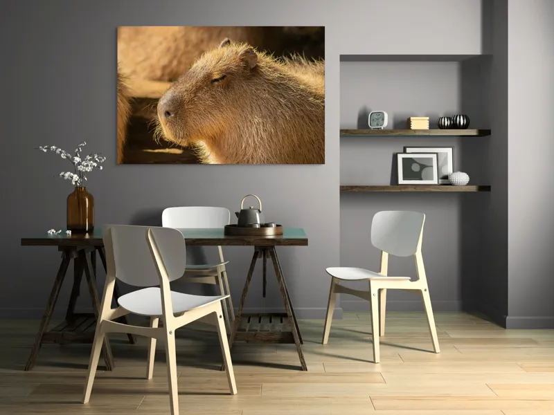 Tablou Canvas, "Capybara relaxându-se în soare", 150 x 100 cm – poza 5