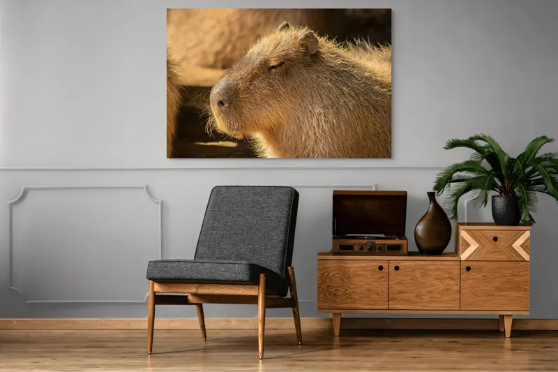 Tablou Canvas, "Capybara relaxându-se în soare", 150 x 100 cm – poza 8