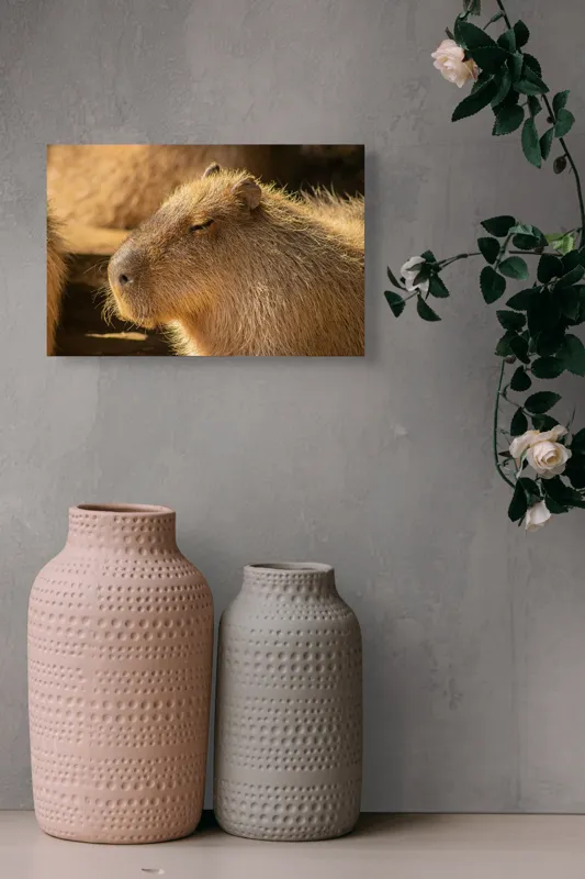 Tablou Canvas, "Capybara relaxându-se în soare", 39 x 26 cm – poza 4