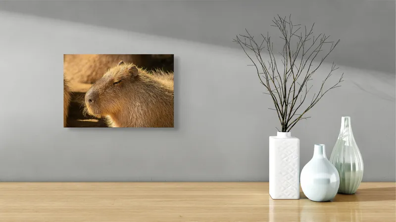Tablou Canvas, "Capybara relaxându-se în soare", 39 x 26 cm – poza 8