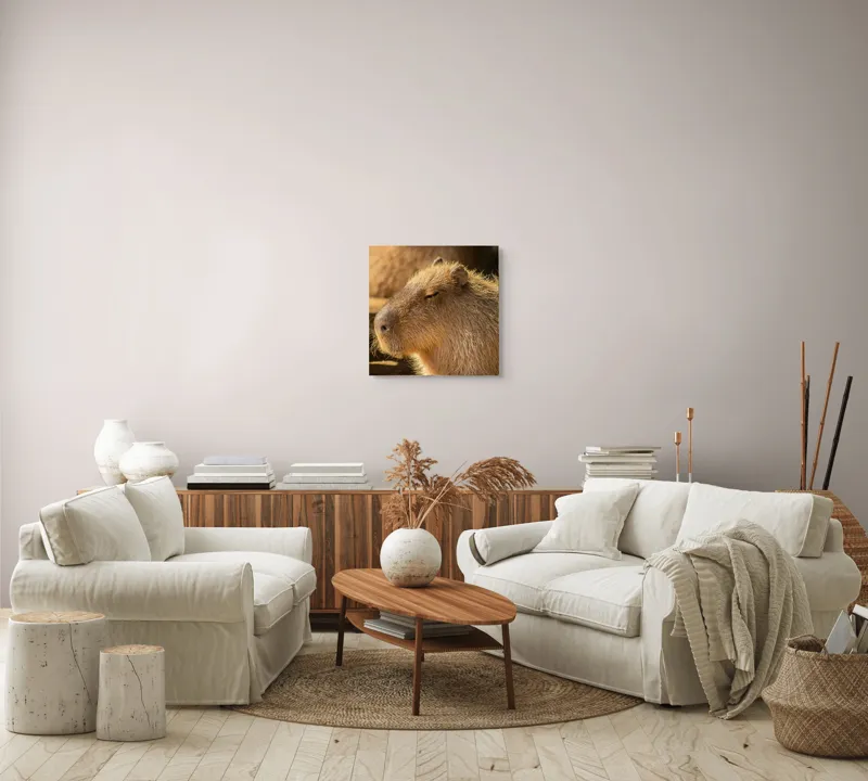 Tablou Canvas, "Capybara relaxându-se în soare", 50 x 50 cm – poza 7