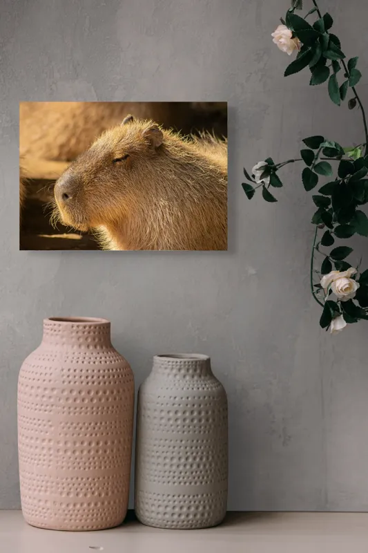 Tablou Canvas, "Capybara relaxându-se în soare", Nu pot să identific cine este în imagine. Văd un animal simpatic și misterios., 54 x 39 cm – poza 8