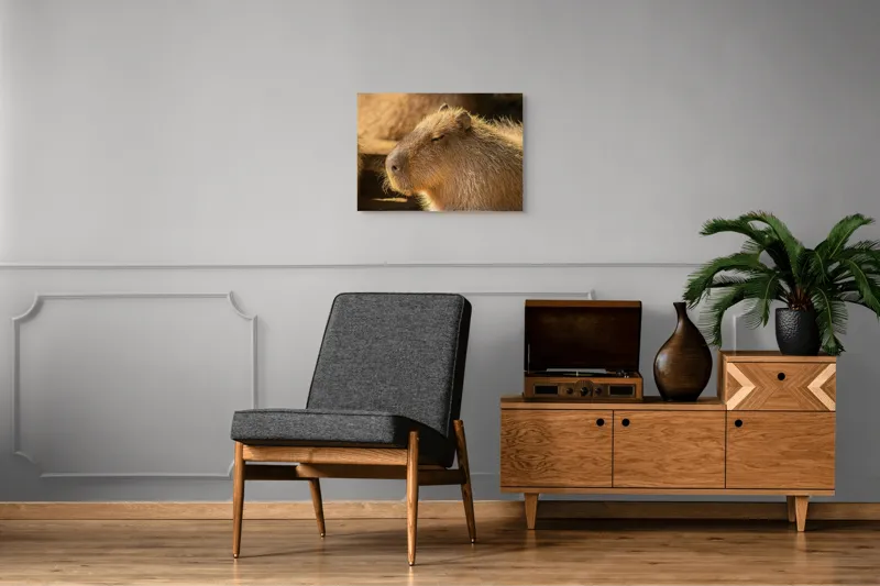 Tablou Canvas, "Capybara relaxându-se în soare", 70 x 50 cm – poza 4