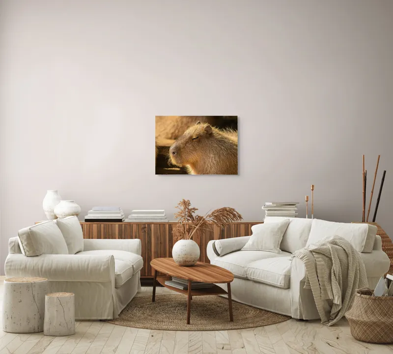 Tablou Canvas, "Capybara relaxându-se în soare", 70 x 50 cm – poza 6