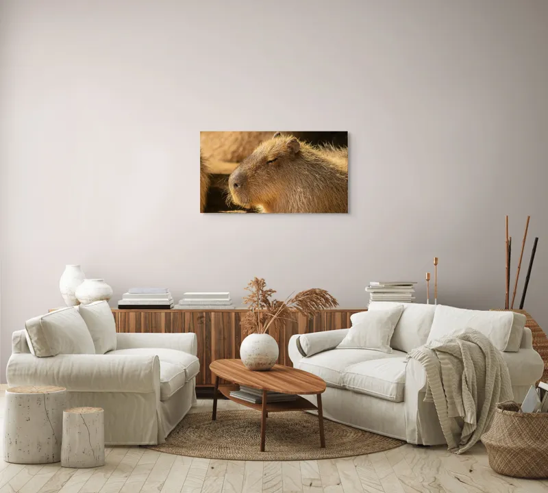 Tablou Canvas, "Capybara relaxându-se în soare", 90 x 50 cm – poza 4