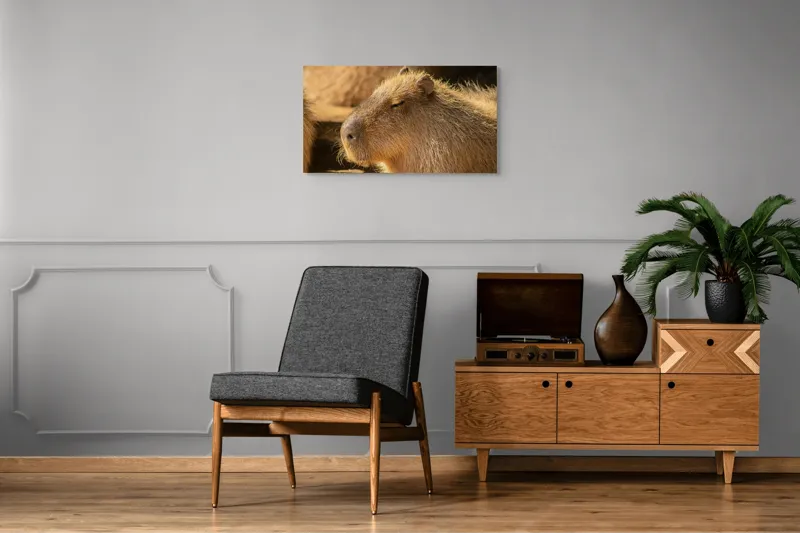 Tablou Canvas, "Capybara relaxându-se în soare", 90 x 50 cm – poza 6