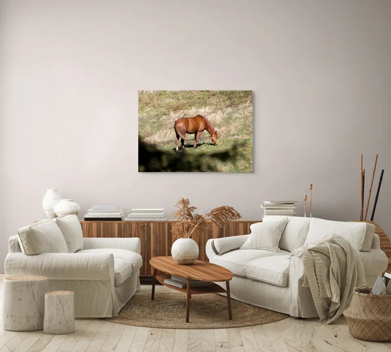 Tablou Canvas, "Cal păscând în lumina soarelui", Cal, Pășune, Verdeață, Natură, Liniște, Alimentație, Ham, Blană, Peisaj., 100 x 70 cm – poza 3