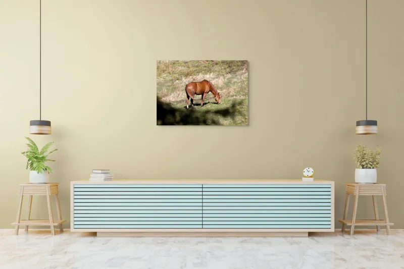 Tablou Canvas, "Cal păscând în lumina soarelui", Cal, Pășune, Verdeață, Natură, Liniște, Alimentație, Ham, Blană, Peisaj., 100 x 70 cm – poza 4