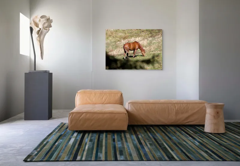Tablou Canvas, "Cal păscând în lumina soarelui", Cal, Pășune, Verdeață, Natură, Liniște, Alimentație, Ham, Blană, Peisaj., 100 x 70 cm – poza 7