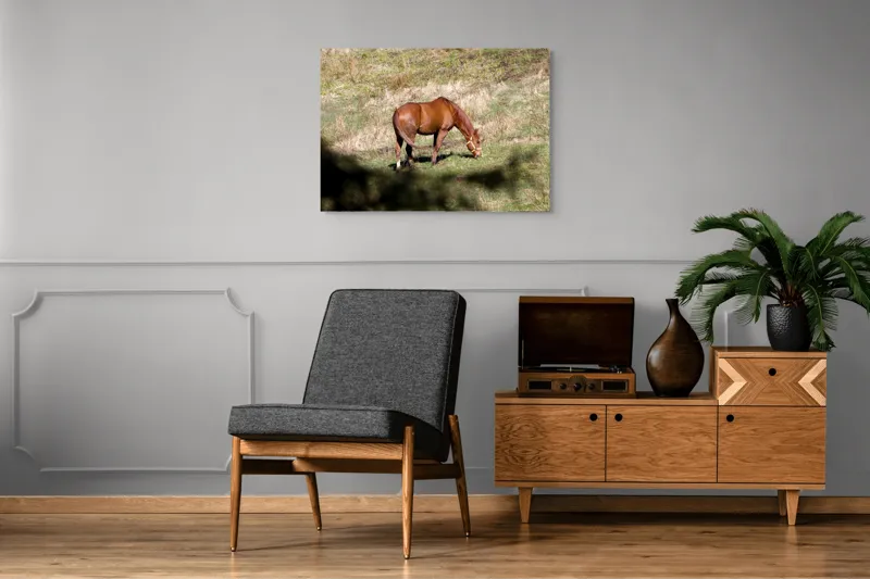 Tablou Canvas, "Cal păscând în lumina soarelui", Cal, Pășune, Verdeață, Natură, Liniște, Alimentație, Ham, Blană, Peisaj., 100 x 70 cm – poza 8