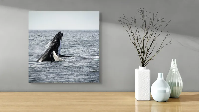 Tablou Canvas, "Balena jucăușă în oceanul vast", Balena, Ocean, Valuri, Natură, Salt, Apă, Grandoare, Libertate, 50 x 50 cm – poza 3