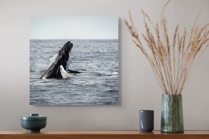 Tablou Canvas, "Balena jucăușă în oceanul vast", Balena, Ocean, Valuri, Natură, Salt, Apă, Grandoare, Libertate, 50 x 50 cm – poza 4