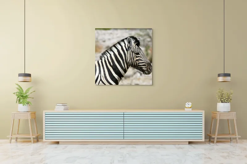 Tablou Canvas, "Zebra în peisaj african sălbatic", 100 x 100 cm – poza 5