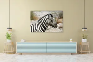 Tablou Canvas, "Zebra în peisaj african sălbatic", 150 x 100 cm – poza 6
